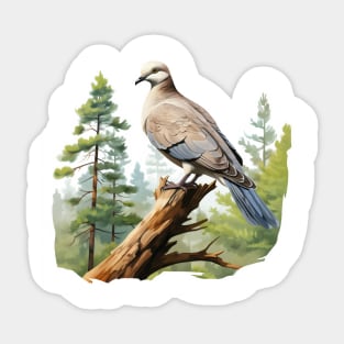 Collared Dove Sticker